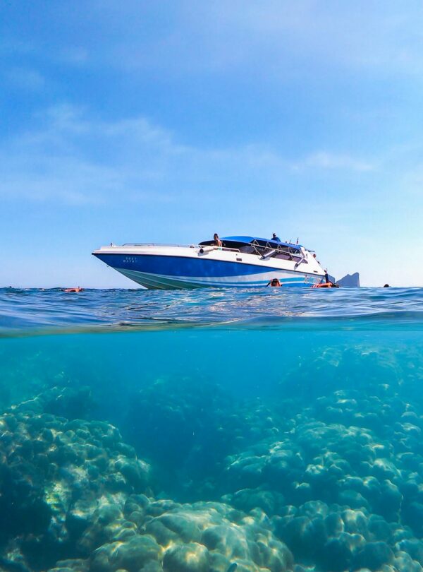 pexels-silent-sightseer-208940871-11719917